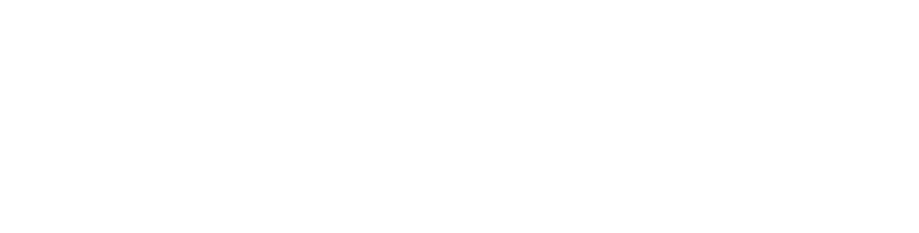 reaktorkraft.de